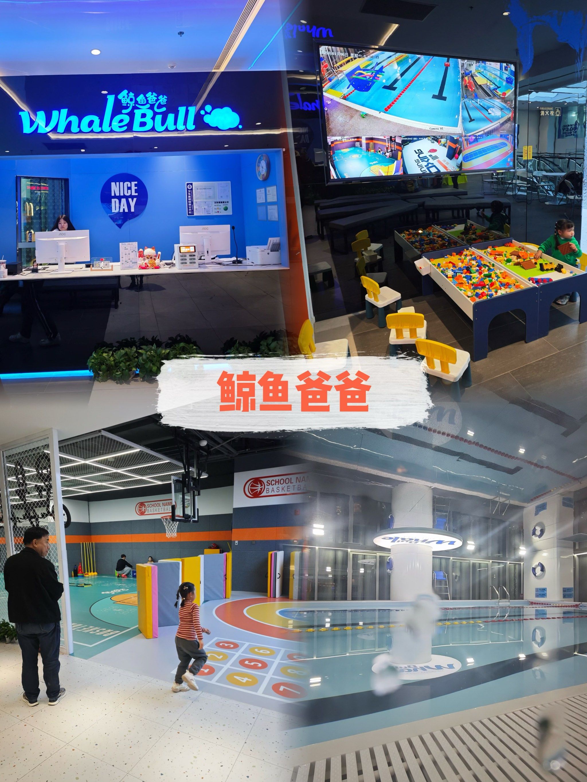 鲸体育直播_(鲸体育直播官网最新版)  第1张