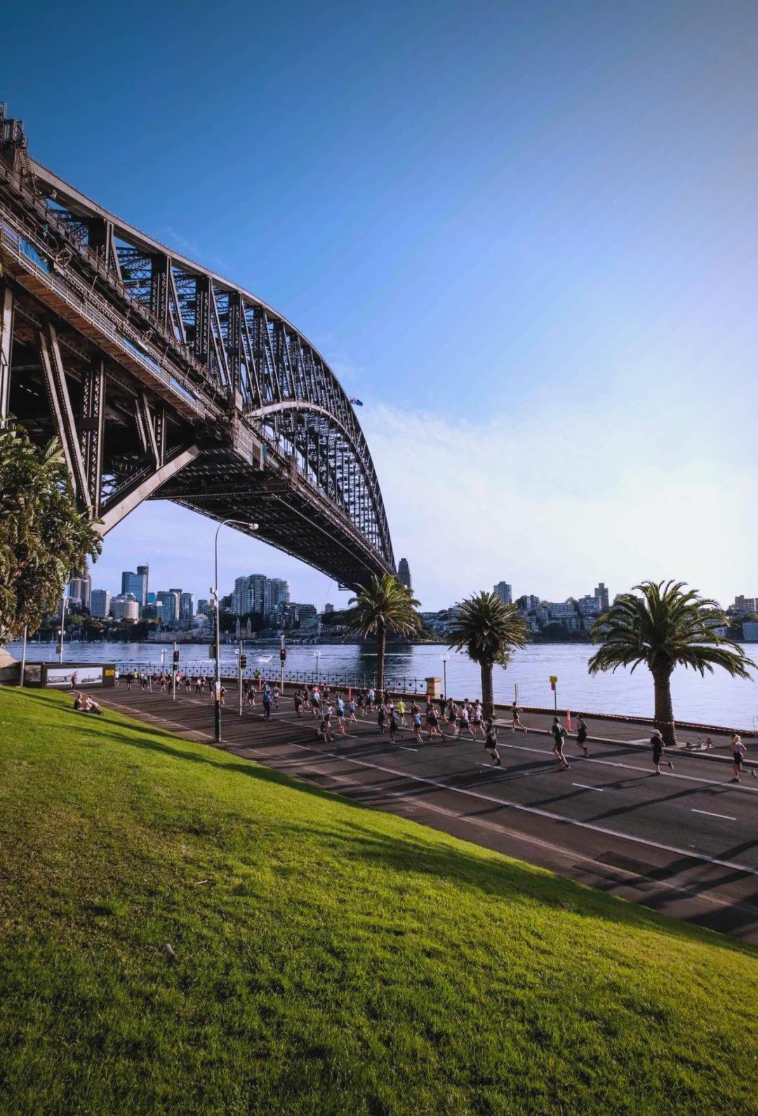 悉尼赛_(悉尼赛车公园)  第1张