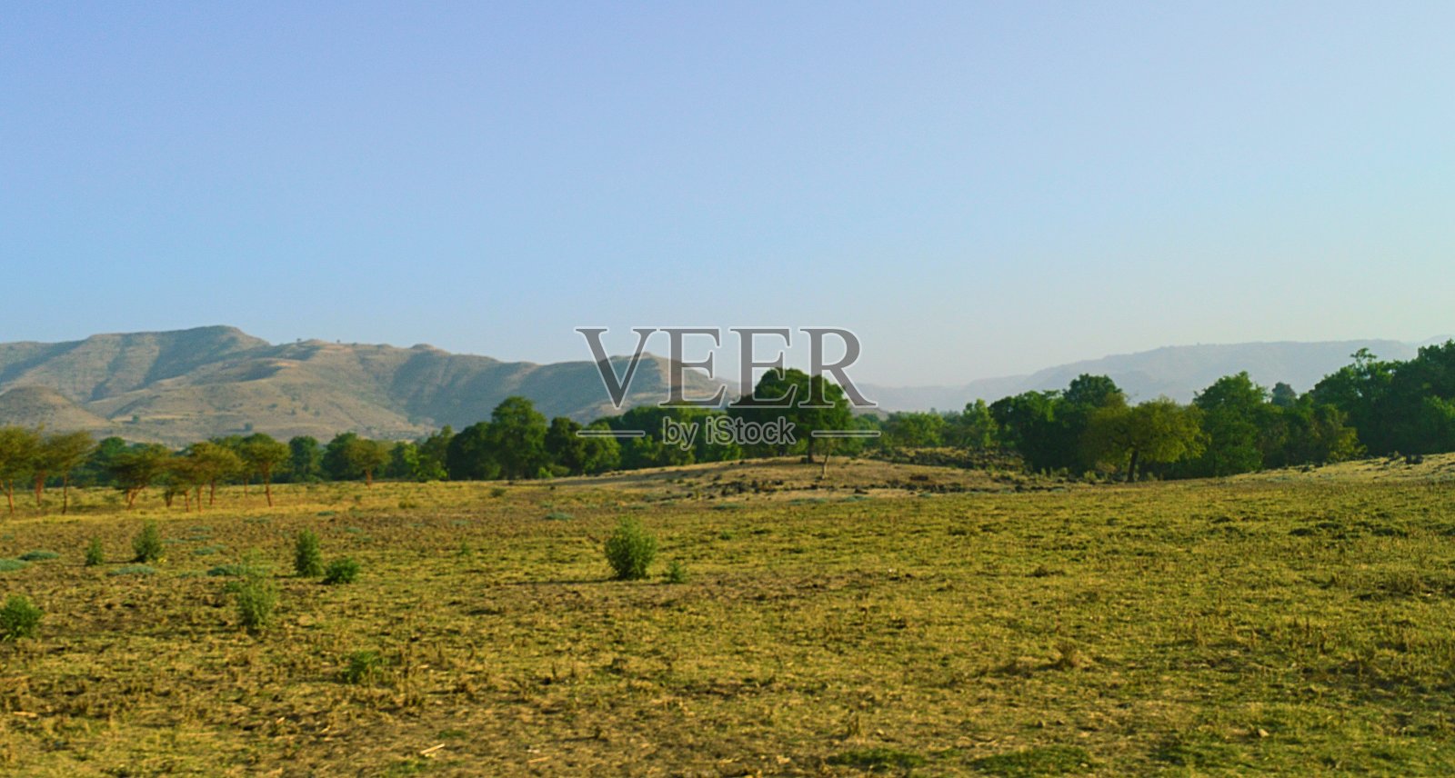 埃塞超:巴赫达尔VS埃塞俄比亚电力的简单介绍 第1张 埃塞超:巴赫达尔VS埃塞俄比亚电力的简单介绍 第1张