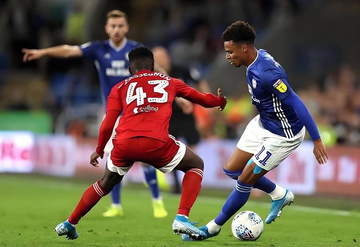 包含英超热刺1-4布赖顿欣谢尔伍德双响索兰克点射的词条  第1张