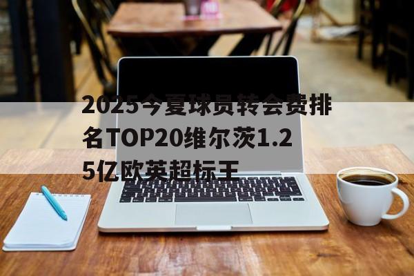 2025今夏球员转会费排名TOP20维尔茨1.25亿欧英超标王的简单介绍 第1张 2025今夏球员转会费排名TOP20维尔茨1.25亿欧英超标王的简单介绍 第1张