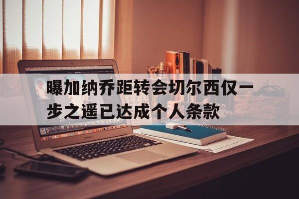 关于曝加纳乔距转会切尔西仅一步之遥已达成个人条款的信息  第1张
